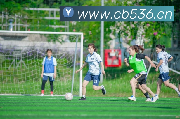 奇异果体育官方入口发展历程